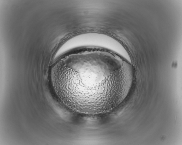 X0000092060693200709121354