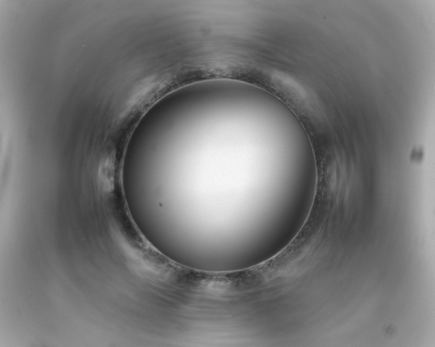 X0000092060694200709121354
