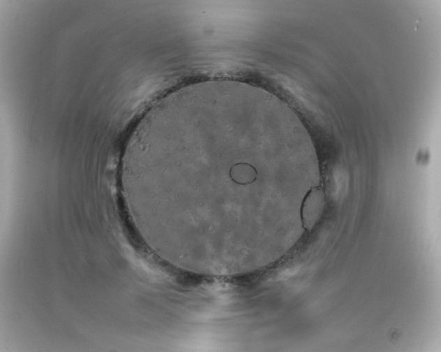 X0000092060695200709121354