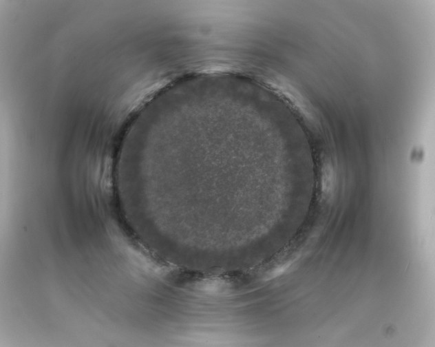 X0000092060696200709121354