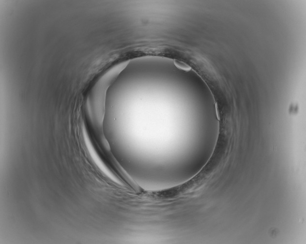 X0000092060697200709121354
