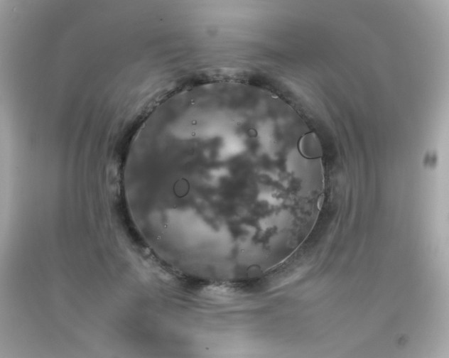 X0000092060699200709121354