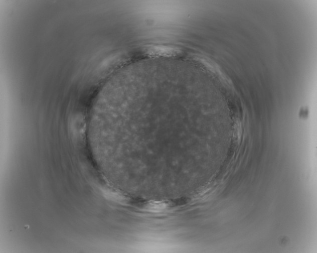 X0000092060701200709121354