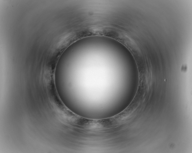 X0000092060702200709121354
