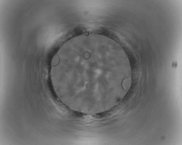 X0000092060703200709121354