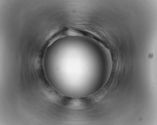 X0000092060704200709121354