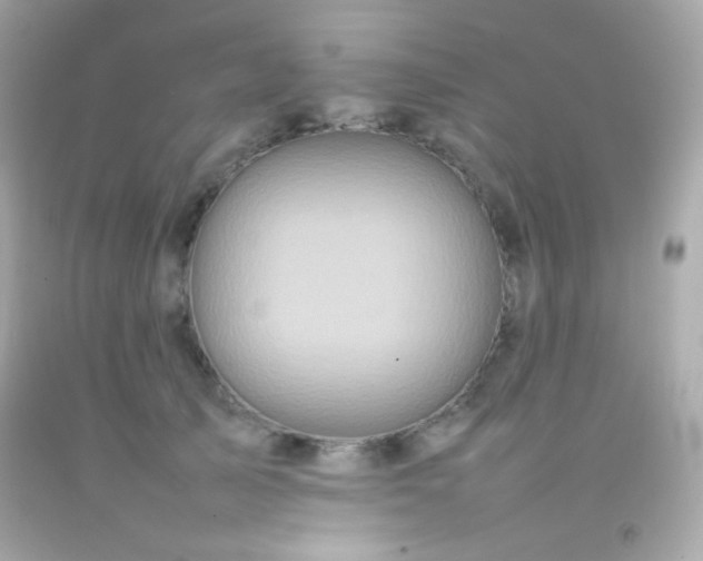 X0000092060705200709121354
