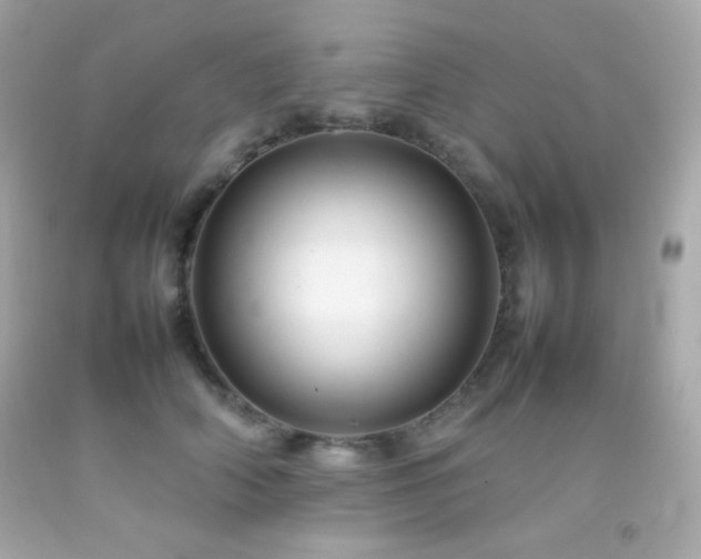 X0000092060706200709121354