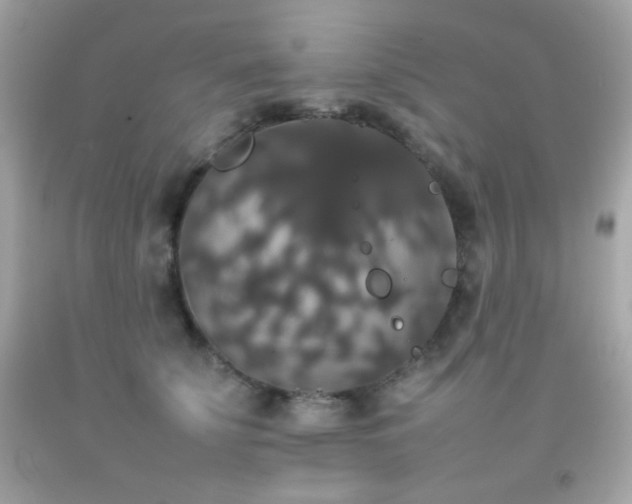 X0000092060707200709121354