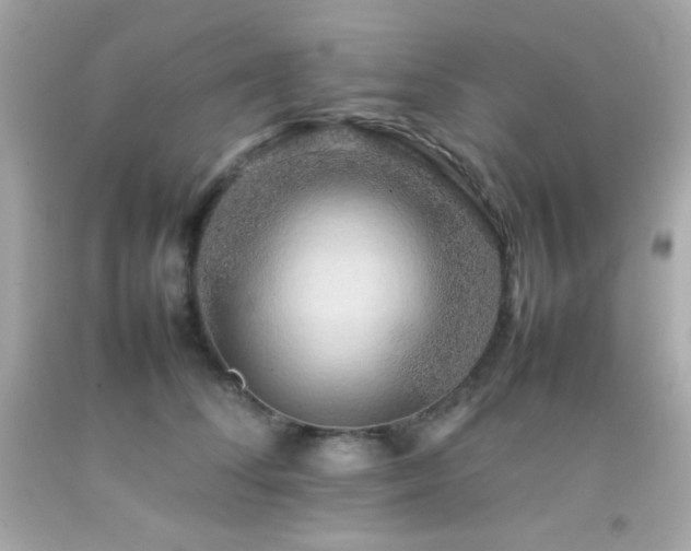 X0000092060708200709121354