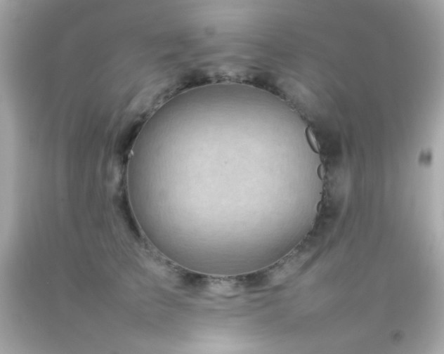 X0000092060709200709121354
