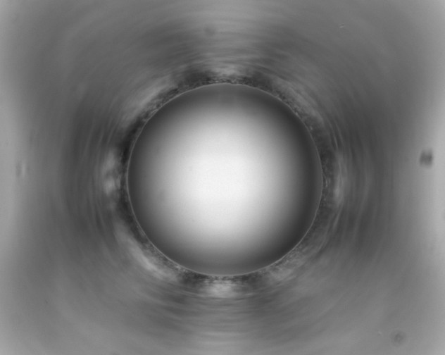 X0000092060710200709121354