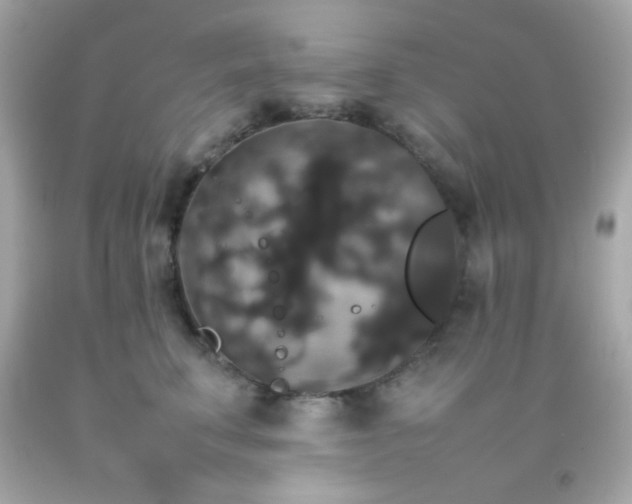X0000092060711200709121354