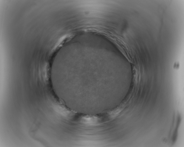 X0000092060712200709121354