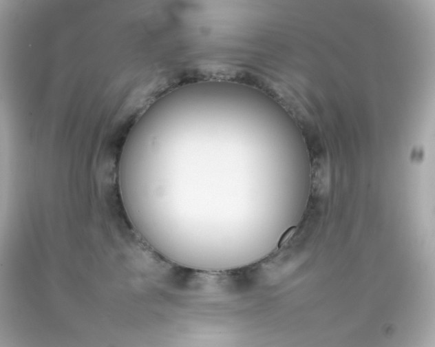 X0000092060713200709121354