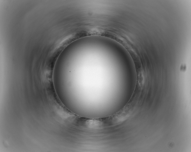 X0000092060714200709121354