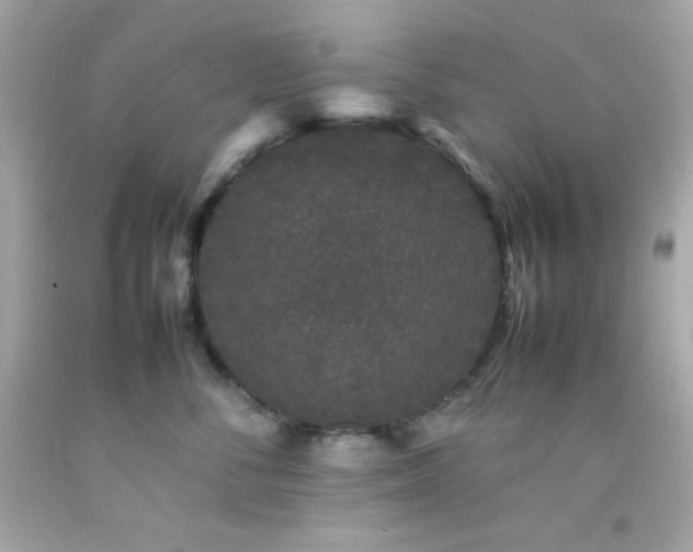 X0000092060716200709121354