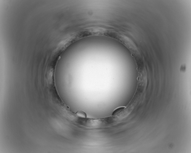 X0000092060717200709121354