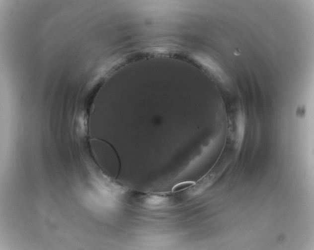 X0000092060718200709121354