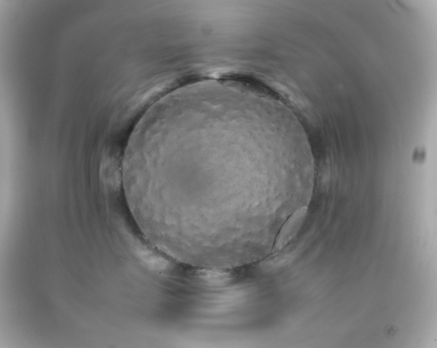 X0000092060719200709121354