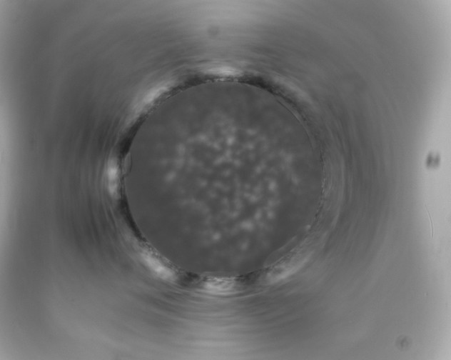 X0000092060720200709121354