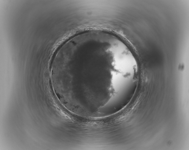X0000092060721200709121354