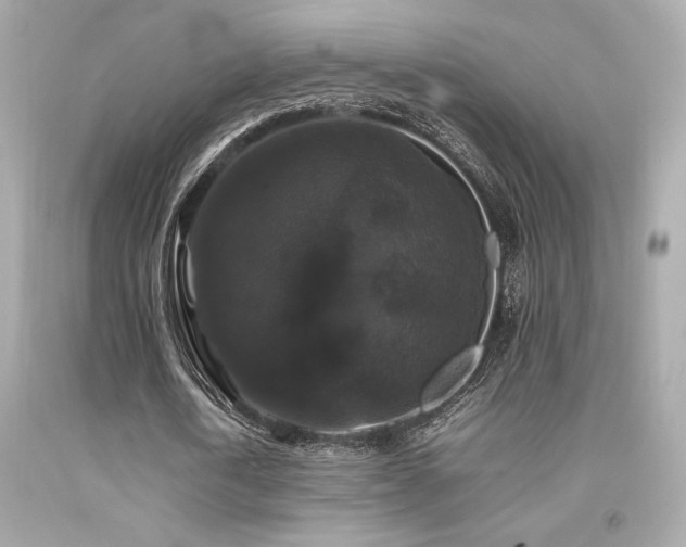 X0000092060722200709121354