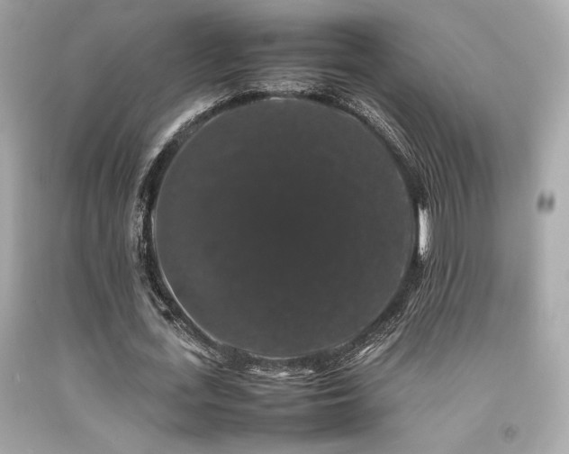X0000092060723200709121354