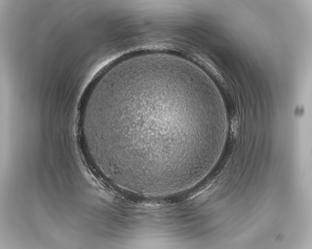X0000092060724200709121354