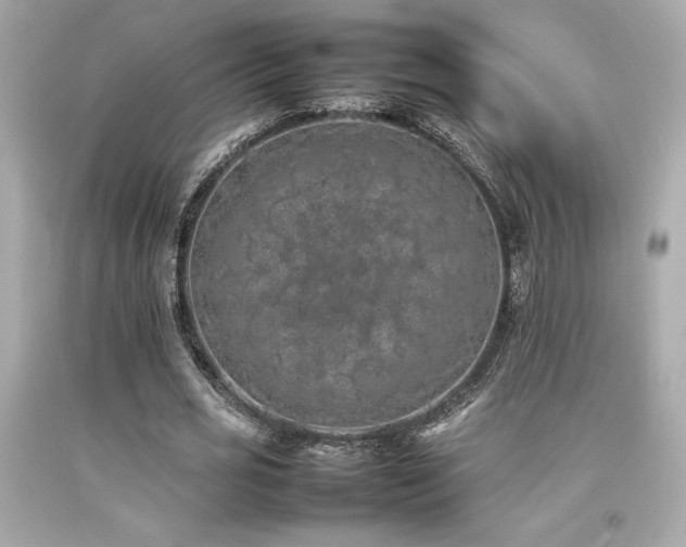 X0000092060725200709121354