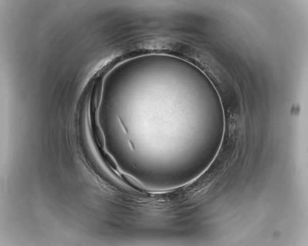 X0000092060727200709121354