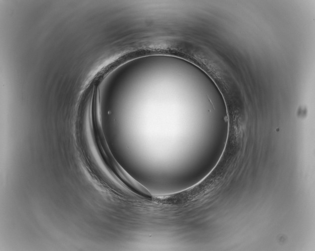 X0000092060728200709121354