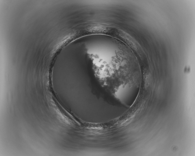 X0000092060729200709121354