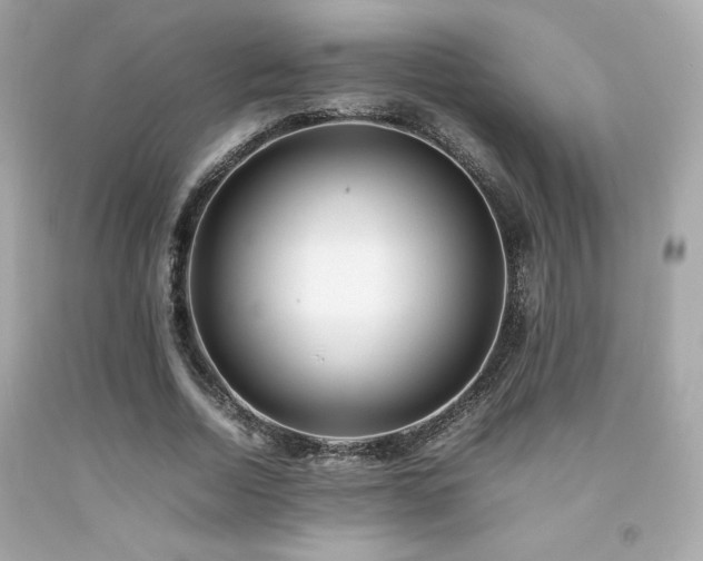 X0000092060730200709121354