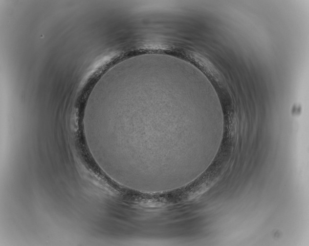 X0000092060731200709121354