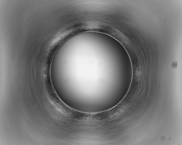 X0000092060732200709121354