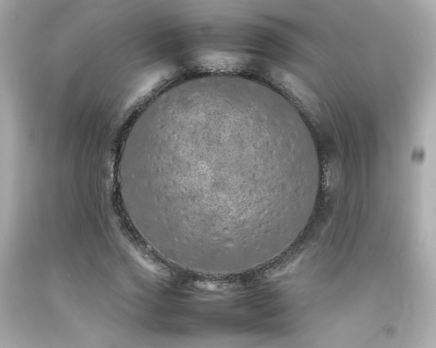 X0000092060733200709121354