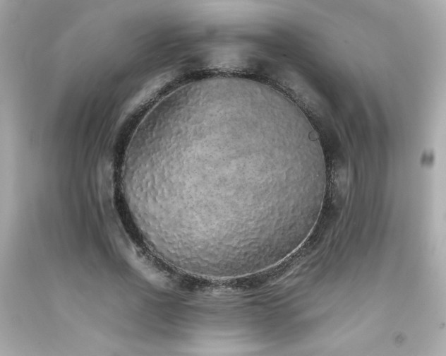 X0000092060734200709121354