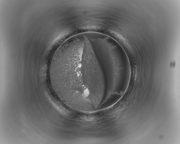 X0000092060735200709121354
