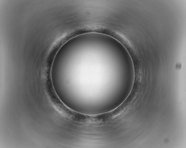 X0000092060736200709121354
