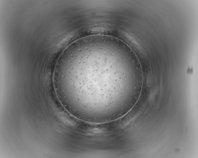 X0000092060737200709121354