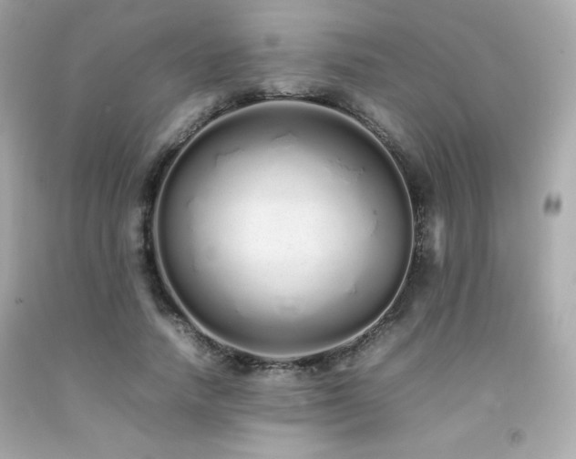 X0000092060738200709121354