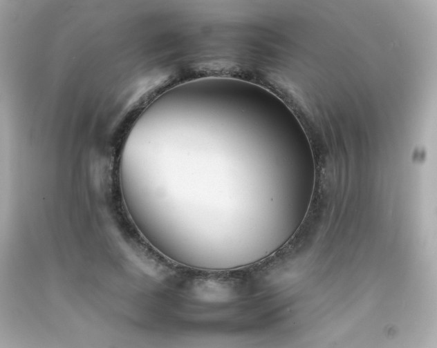 X0000092060739200709121354
