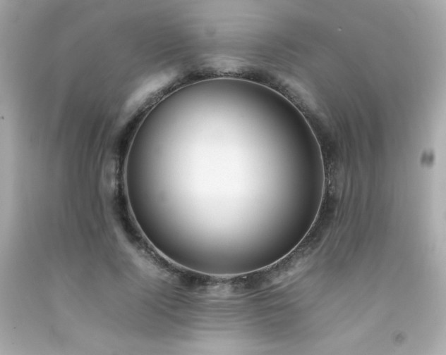 X0000092060740200709121354
