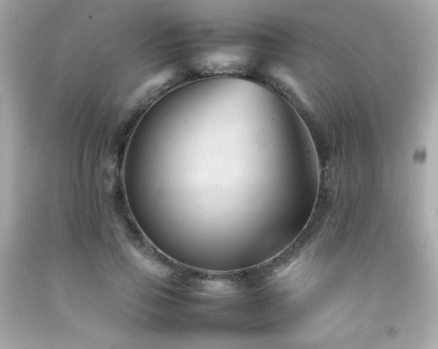 X0000092060741200709121354