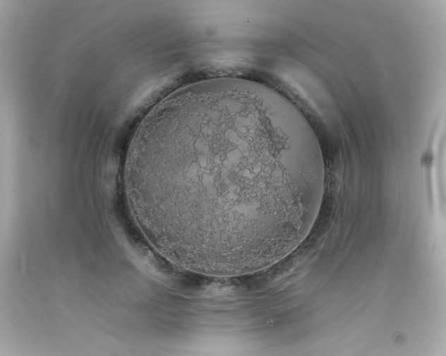 X0000092060742200709121354