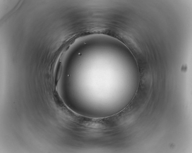 X0000092060743200709121354