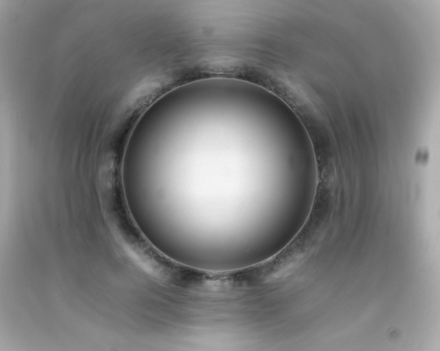X0000092060744200709121354