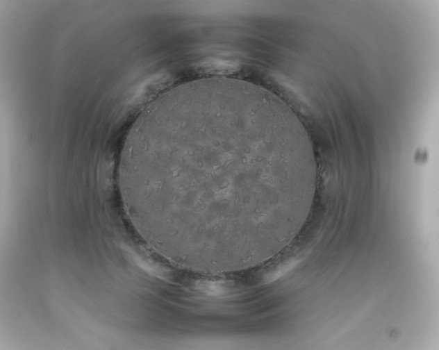X0000092060745200709121354