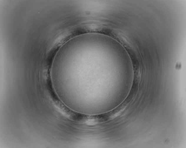 X0000092060746200709121354